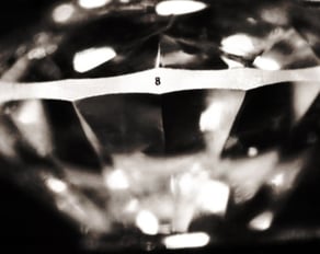 FD pic9.jpg FD pic9.jpg