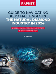 Guide to Navigating Key Challenges in the Natural Diamond Industry in 2024 Cover Image
