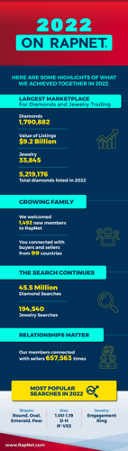2022 review of rapnet infographic
