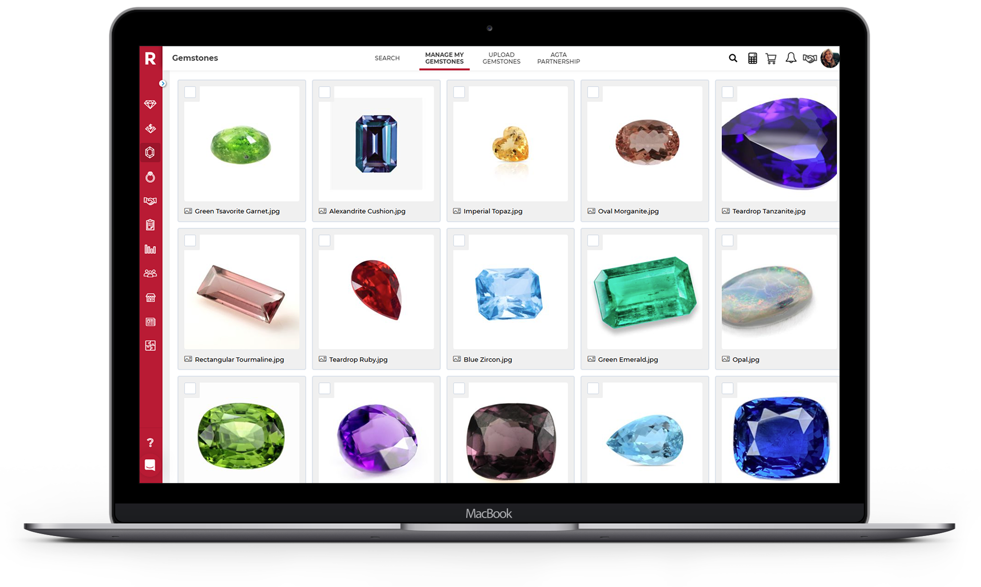Find gems on RapNet image